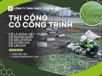  Thi công cỏ công trình chuyên nghiệp – đa dạng chủng loại, phủ xanh bền đẹp