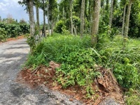 ► BÁN ĐẤT NÔNG NGHIỆP 3 MẶT TIỀN – VỊ TRÍ ĐẸP GẦN HỒ KIM LONG