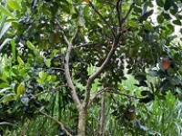 ► BÁN ĐẤT NÔNG NGHIỆP 3 MẶT TIỀN – VỊ TRÍ ĐẸP GẦN HỒ KIM LONG