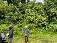 ► BÁN 1.8HA ĐẤT NÔNG NGHIỆP – CÓ SẴN DÒNG TIỀN 500TR/NĂM