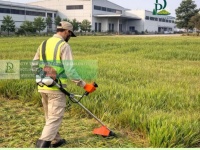 Dịch vụ cắt cỏ – dọn dẹp cảnh quan nhà máy Đồng Nai TPHCM