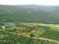 BÁN ĐẤT MẶT TIỀN LÊ VĂN TÁM – DI LINH, LÂM ĐỒNG - 700m2 GIÁ CHỈ 2 TỶ 500 TRIỆU