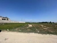 Bán đất tại Nguyễn Văn Dương, Đức Hòa, 10 tỷ, 2000m2 thổ cư chỉ với uy tín