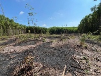 ĐẤT TRANG TRẠI VIEW ĐẸP – HÒA NHƠN, HÒA VANG, ĐÀ NẴNG