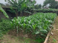 ► CẦN BÁN LÔ ĐẤT NGỌC THÀNH 2 – HOÀNG VÂN, BẮC NINH