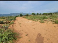 CHÍNH CHỦ BÁN ĐẤT ĐẸP ĐẦU TƯ NGHỈ DƯỠNG & SINH LỜI TẠI  Xã Phước Định, Thuận Nam