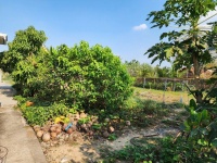 BÁN ĐẤT NHÀ Ở + SÂN VƯỜN – TP TÂY NINH - GIÁ TỐT ĐẦU TƯ