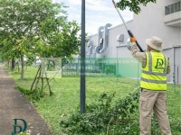 Dịch vụ cắt cỏ cắt tỉa chăm sóc cảnh quan KCN An Phước, Long Thành, Đồng Nai