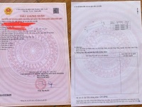 NHÀ ĐẸP  - GIÁ TỐT Chính Chủ Cần bán nhanh căn nhà tại xã Tam Đảo tỉnh Vĩnh Phúc