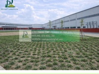 Thi công cây xanh công trình chăm sóc thảm cỏ khu công nghiệp tại Đồng Nai