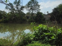 BÁN ĐẤT CHÍNH CHỦ - MẶT TIỀN Đường QL 30 Nguyễn Trãi, Ấp Mỹ Thuận, Xã Mỹ Thọ, Đồng Tháp