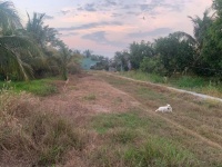 ĐẤT VƯỜN – GIÁ TỐT  – CHÍNH CHỦ CẦN BÁN Tại Cầu Vĩnh Lạc, Xã Vĩnh Gia, Huyện Tri Tôn, An Giang