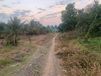 ĐẤT VƯỜN – GIÁ TỐT  – CHÍNH CHỦ CẦN BÁN Tại Cầu Vĩnh Lạc, Xã Vĩnh Gia, Huyện Tri Tôn, An Giang