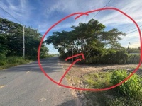 Bán ĐẤT CHÍNH CHỦ Đường Lộ 785C Xã Tân Hà, Huyện Tân Châu, Tây Ninh