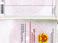 ĐẤT ĐẸP – GIÁ TỐT  – CHÍNH CHỦ CẦN BÁN 2 Lô Đất Tại Xã Tượng Sơn, Huyện Thạch Hà, Hà Tĩnh