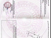 ĐẤT ĐẸP – GIÁ TỐT  – CHÍNH CHỦ CẦN BÁN 2 Lô Đất Tại Xã Tượng Sơn, Huyện Thạch Hà, Hà Tĩnh