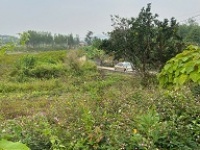 ► ĐẤT ĐẸP TÂN AN – CƯƠNG SƠN – LỤC NAM GIÁ CHỈ 480 TRIỆU