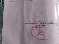 Chính Chủ Cần Bán Đất Trông Cao Su Lâu Năm Đường Số 46, Xã Thạnh Tây, Huyện Tân Biên, Tây Ninh