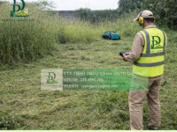 Dịch vụ cắt cỏ phát hoang diện tích lớn giá cạnh tranh miền Nam