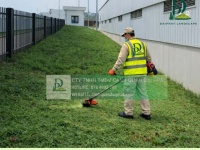 Dịch vụ cắt cỏ phát hoang diện tích lớn giá cạnh tranh miền Nam