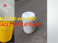 Can nhựa 30 lít đựng nhiên liệu dự trữ, can nhựa 25 lít đựng xăng sinh học 
