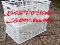 Sóng hở( sọt nguyên sinh), khay nhựa rỗng