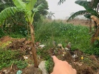 ► BÁN ĐẤT GIÁ TỐT – SỔ ĐỎ CHÍNH CHỦ