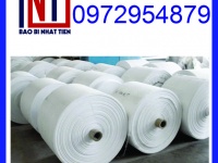 Cung cấp cuộn PP giá rẻ, manh PP dạng cuộn