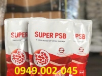 SUPER PSB Rhodo – Vi Khuẩn Quang Hợp Xử Lý Nước, Giảm Khí Độc & Ổn Định Ao Nuôi Tôm Cá