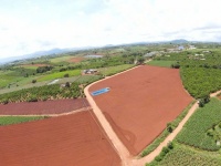 Cần bán lô đất siêu đẹp 3 mặt tiền tại Tân Hội, Đức Trọng, Lâm Đồng, 260m mặt tiền