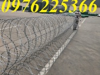 Dây kẽm gai hàng rào 60cm