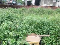 HƠN 3 TỶ NHỎ – SỞ HỮU NGAY LÔ ĐẤT ĐẸP ĐÔNG ANH DT 52m² full thổ cư – mặt tiền rộng 5m vuông vắn