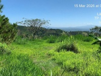 BÁN NHANH ĐẤT NGHỈ DƯỠNG HOMESTAY – LÂM ĐỒNG GIÁ TỐT