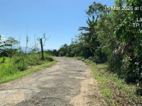 BÁN NHANH ĐẤT NGHỈ DƯỠNG HOMESTAY – LÂM ĐỒNG GIÁ TỐT