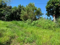 BÁN NHANH ĐẤT NGHỈ DƯỠNG HOMESTAY – LÂM ĐỒNG GIÁ TỐT