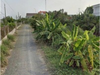 Chính Chủ Bán Gấp 1,554m2 Đất Mặt Tiền QL1A, xã Nhị Thành, huyện Thủ Thừa, Long An