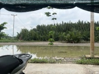 BÁN 555M2 ĐẤT SẴN SỔ MẶT TIỀN ĐƯỜNG CÁ SÚC-BÌNH KHÁNH-CẦN GIỜ