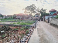 CHÍNH CHỦ CẦN BÁN 3  LÔ ĐẤT LIỀN KỀ CÓ VỊ TRÍ ĐẸP TẠI XÃ QUANG THỊNH - LẠNG GIANG - BẮC GIANG.