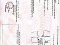 ► CĂN HỘ ĐẸP PCC1 BA LA – FULL SỔ – 2PN SÁNG THOÁNG – Ở LỘC, VỊ TRÍ ĐỈNH