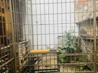 ► CHO THUÊ NHÀ NGÕ 79 PHỐ HUẾ – TRUNG TÂM HOÀN KIẾM – GIÁ CHỈ 5 TRIỆU/THÁNG