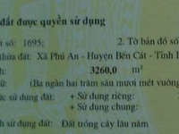 Bán đất giá tốt – Diện tích lớn, phù hợp đầu tư và làm vườn tại Bến Cát, Bình Dương