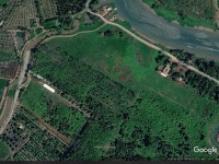 Bán đất giá tốt – Diện tích lớn, phù hợp đầu tư và làm vườn tại Bến Cát, Bình Dương