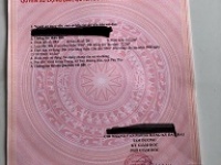 ► CHÍNH CHỦ BÁN ĐẤT TAM DƯƠNG – VỊ TRÍ ĐẸP – GIÁ CỰC MỀM – CHỐT NHANH TRONG NGÀY