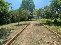 ĐẤT ĐẸP – GIÁ TỐT – CHÍNH CHỦ CẦN BÁN 2 LÔ ĐẤT An Nhơn Tây, Củ Chi, TP.HCM