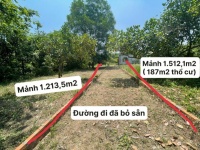 ĐẤT ĐẸP – GIÁ TỐT – CHÍNH CHỦ CẦN BÁN 2 LÔ ĐẤT An Nhơn Tây, Củ Chi, TP.HCM