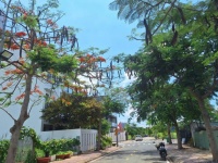 LÔ GÓC 2 MẶT TIỀN, KDC BỘ CÔNG AN, 15X22M, ĐỐI DIỆN CÔNG VIÊN