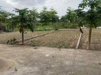 CẦN BÁN ĐẤT TĐP MỄ NỘI – LIÊM CHÍNH – PHỦ LÝ – HÀ NAM