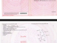 Ngân hàng BIDV thanh lý tài sản đang cho NH Bản Việt – PGD Phú Tân