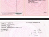 Ngân hàng BIDV thanh lý tài sản hiện trạng là Quán café White House, Phú Tân, An Giang