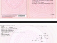 Ngân hàng BIDV thanh lý tài sản hiện trạng là Quán café White House, Phú Tân, An Giang